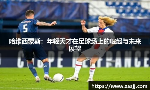 完美体育官网